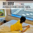 미휘월 | 제주 동쪽 감성 독채숙소 미휘월 | 3년째 찾은 2025년 5월 내돈내산 후기