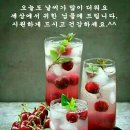 천혜건강원 네이버블로그