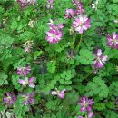 웃는아이소아청소년과의원 이미지