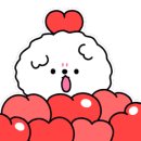 독스컴퍼니 이미지