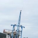 일산하이병원 이미지