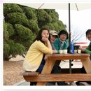 실로암목장 이미지