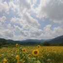 서덕