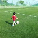 요한이네농장 이미지