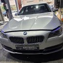 블루디젤모터스 이미지