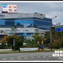 운정행복센타 버스정류장 네이버블로그