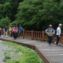 덕산계곡진입로 이미지