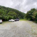 농월초계탕 이미지