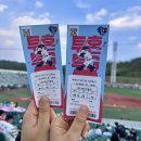 신명파스텔라광안지점 | 2024/08