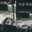 대동백화점 네이버블로그