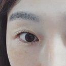 브롱뷰티샵 속눈썹펌 부산동래점 이미지