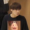 콘서트 [INFINITE Limiten Edition Encore] 막콘 후기_인피니트 새로운 유닛 탄생과 5시간 20...