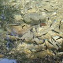 경기둘레길 포천13코스 이미지