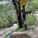 모모네김밥 이미지