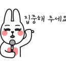 [신촌 북카페] 책다방 위숨