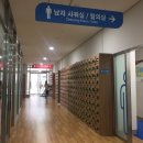 에코랜드수영장 축구장 이미지