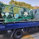 바디피트니스존 이미지