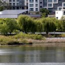 원천호수 이미지