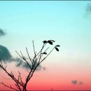 가을노을B 이미지