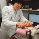 우리강아지 이미지