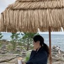 시리살롱 이미지