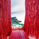 술샘박물관(젊은달 와이파크) 이미지