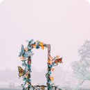 스텝업트레이닝 이미지