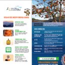 단성면사무소 | 2026지리산산청곶감축제 일정 장소 프로그램 완벽 가이드