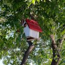 사계절펜션 이미지