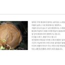 서순천가든 이미지