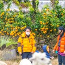 낭만농장 이미지