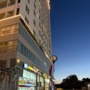 오지의 펫테이블 | 양양 1박 2일 여행 체스터톤스 낙산 펫룸 양양 반려견 동반 호텔 추천 양양 숙소 숙박 후기