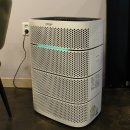 이재룡의 뭉개뭉개 유치원 이미지