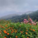 산마루농장 이미지