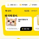 오늘의실패 | 메가커피 오늘의행운냥... 주문 결과는? (주문 실패 솔직 후기)