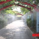 국채보상공원 뉴시스