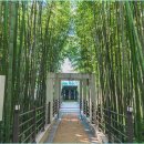 담양관광정보센터 | &#34;담양 가을 여행 코스 추천&#34; 죽녹원부터 메타프로방스까지 (당일치기)