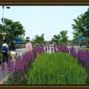 살림선생 이미지