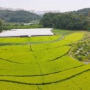 나들목부동산공인중개사사무소 이미지