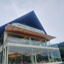 세븐일레븐 용인남사점 | 용인 애견동반 카페 남사커피