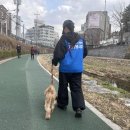 서울동물복지지원센터 동대문 동물병원 | 사랑이 필요한 유기동물들이 여기에 ! &#39;서울동물복지지원센터 동대문&#39;