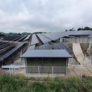 산지태양광발전소 이미지