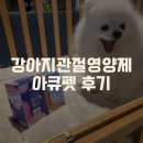 아큐본 | 강아지관절영양제 아큐펫조인트 꼼꼼하게 알아보고 사용한 후기