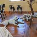 덕이민박 이미지