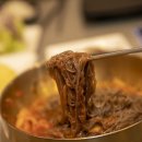 베스트애견 이미지