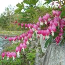 제일식육식당 이미지