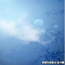 꽃밭노래연습장 이미지