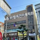 하멜애견미용학원