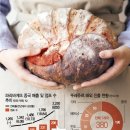 법인뚝심 이미지