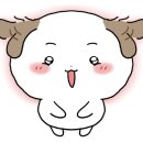 정가짬뽕 네이버블로그